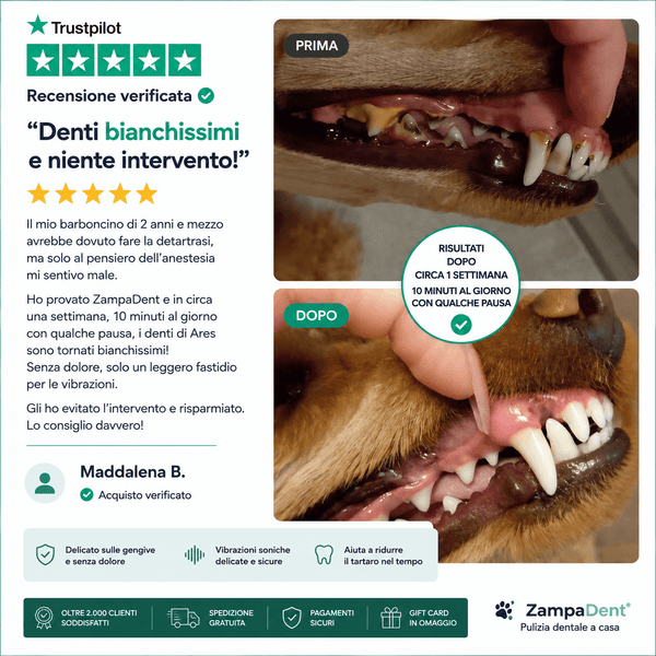 ZampaDent™ Dispositivo Professionale per la Pulizia Dentale del Cane