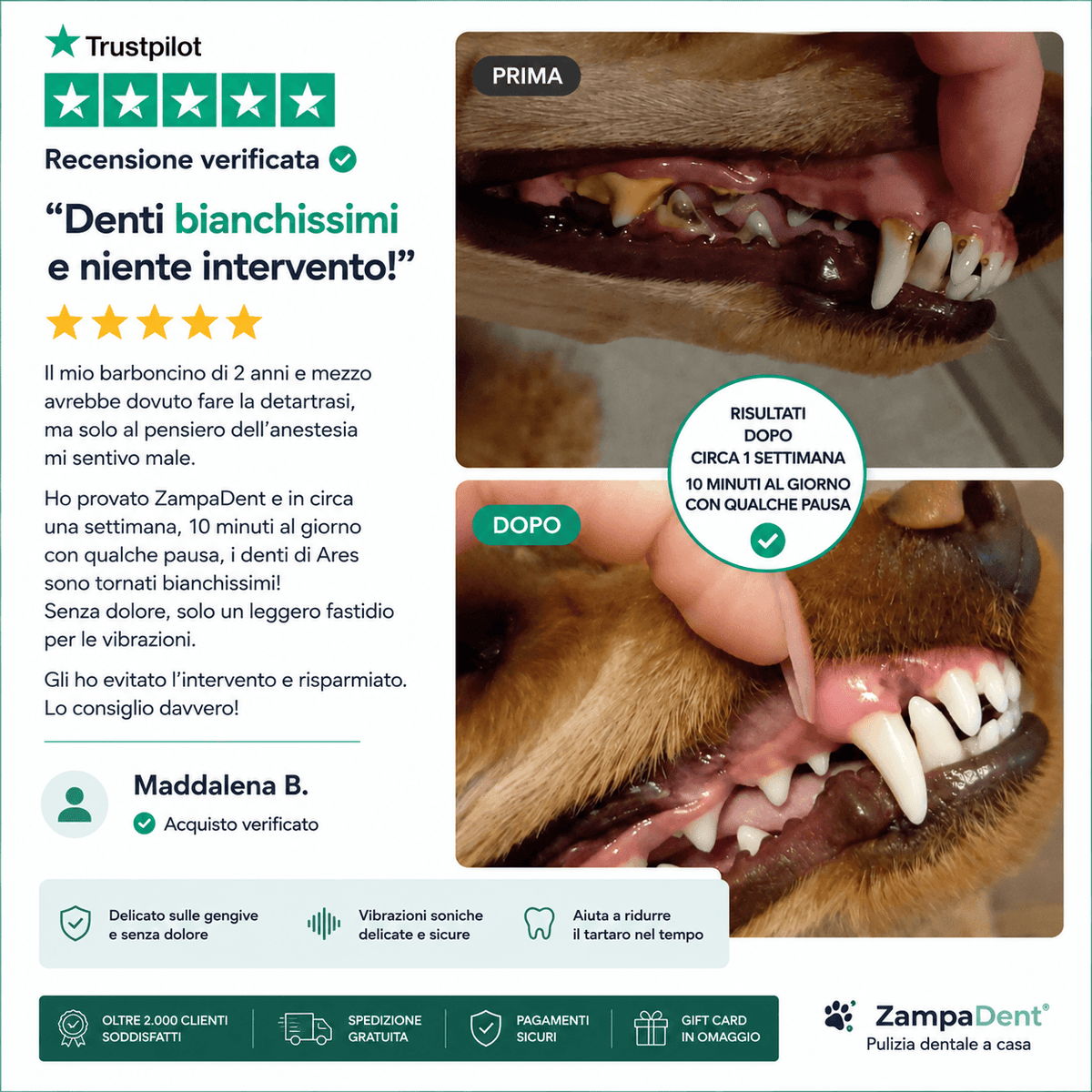 ZampaDent™ Dispositivo Professionale per la Pulizia Dentale del Cane
