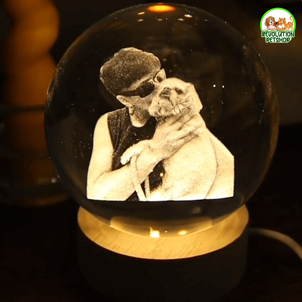 SFERA PERSONALIZZATA ZAMPAETERNA™