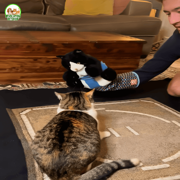 ZAMPAWRESTLER™ GUANTO DA GIOCO PROTETTIVO PER GATTI