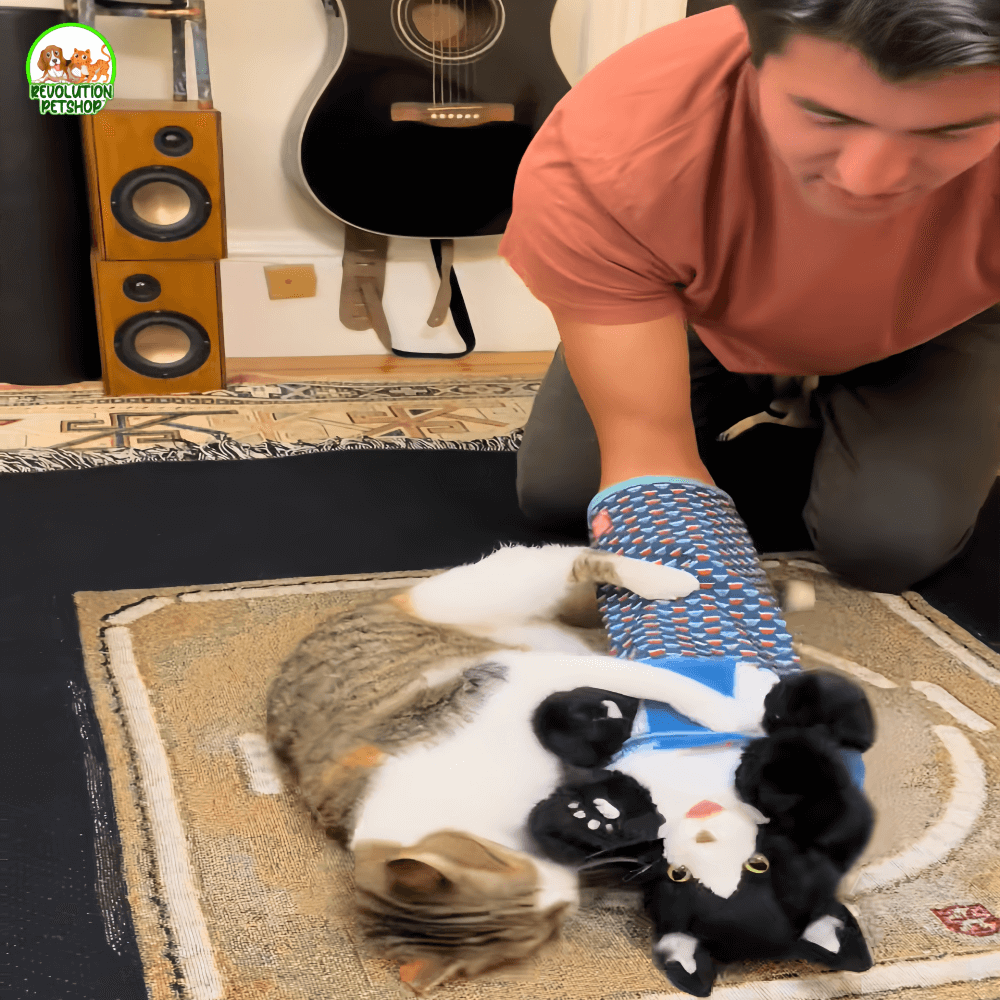 ZAMPAWRESTLER™ GUANTO DA GIOCO PROTETTIVO PER GATTI