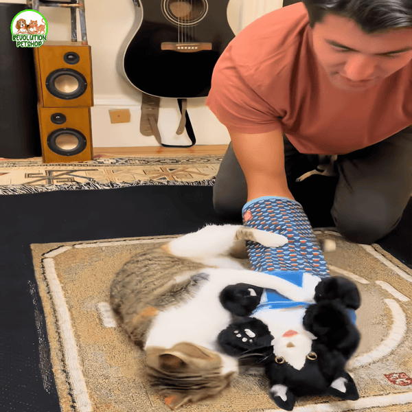 ZAMPAWRESTLER™ GUANTO DA GIOCO PROTETTIVO PER GATTI