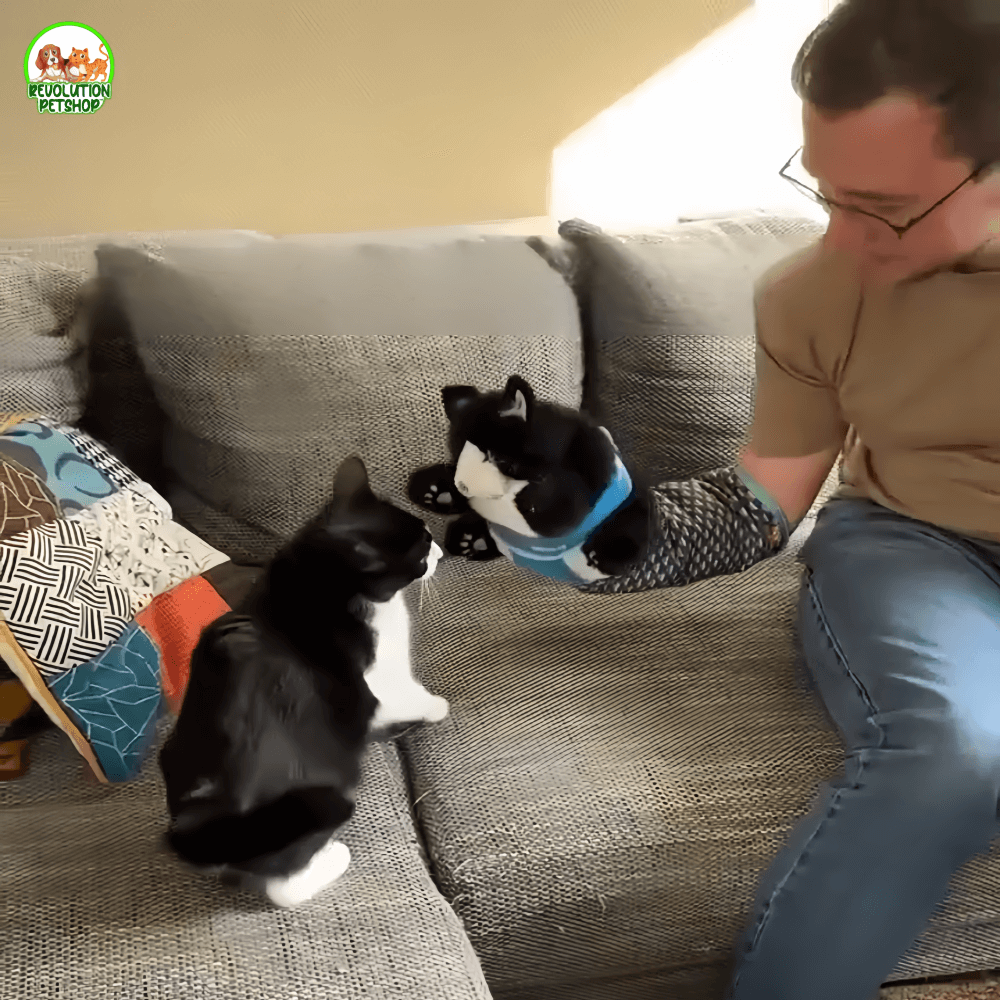 ZAMPAWRESTLER™ GUANTO DA GIOCO PROTETTIVO PER GATTI