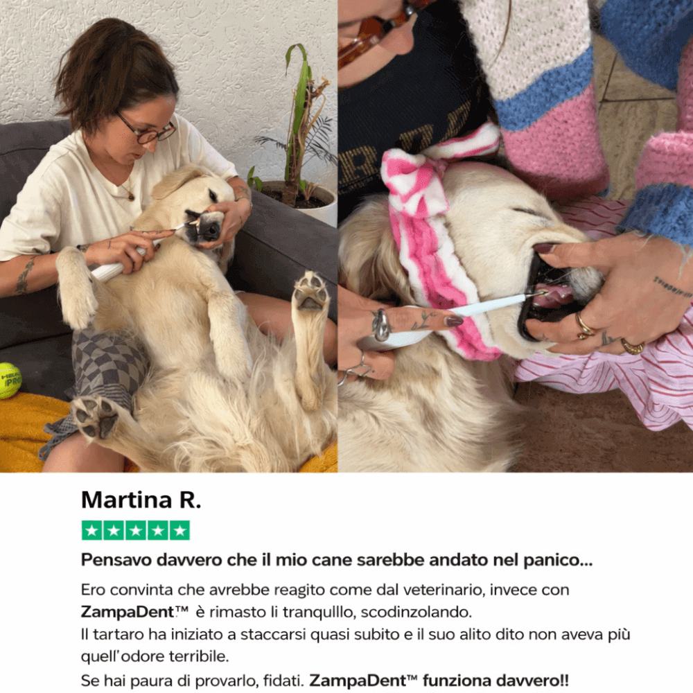 ZampaDent™ Dispositivo Professionale per la Pulizia Dentale del Cane