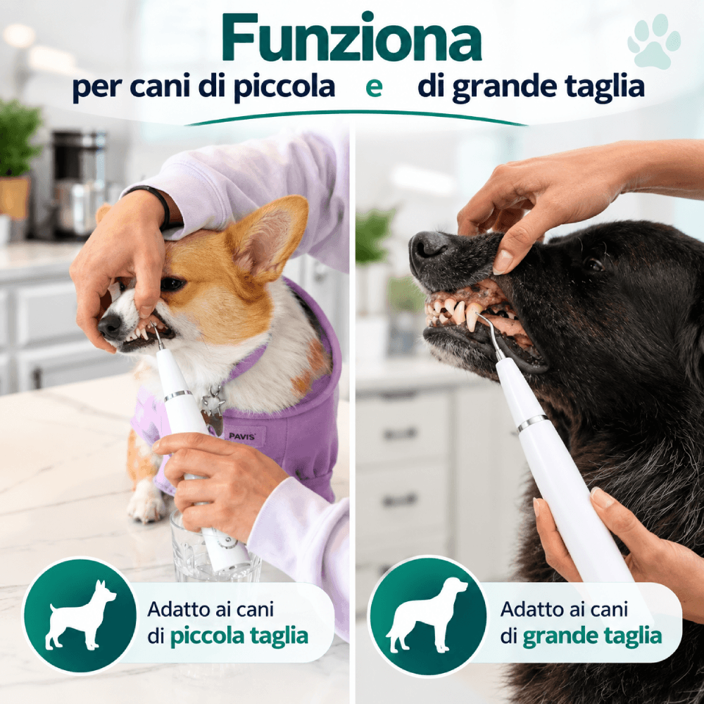 ZampaDent™ Dispositivo Professionale per la Pulizia Dentale del Cane