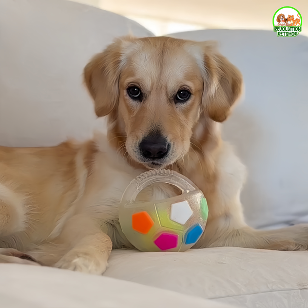 ZAMPAGOL™ PALLA DA CALCIO PER CANI