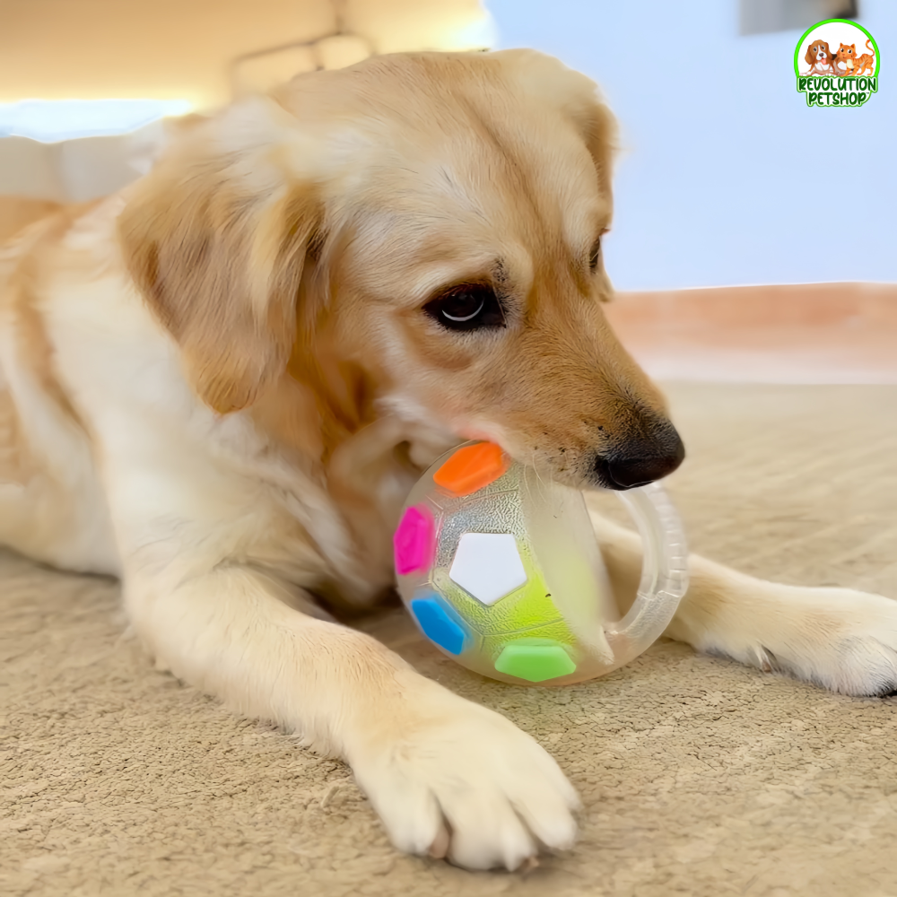 ZAMPAGOL™ PALLA DA CALCIO PER CANI