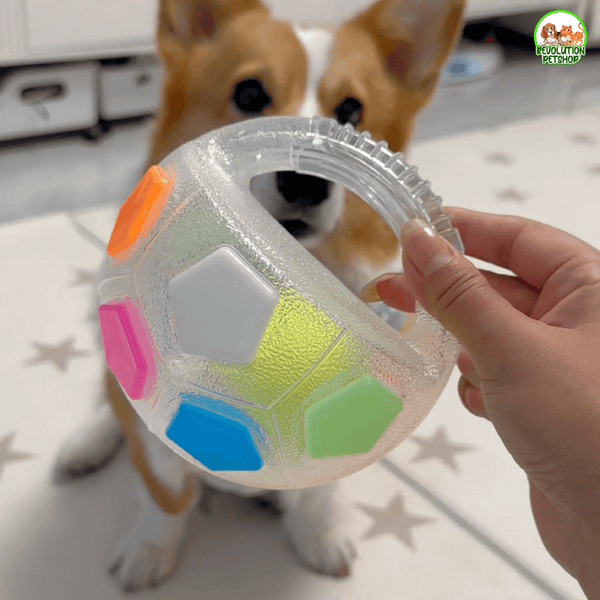 ZAMPAGOL™ PALLA DA CALCIO PER CANI