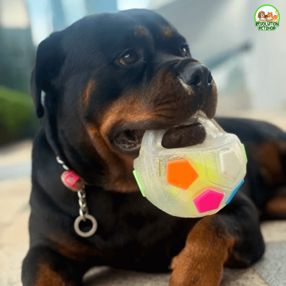 ZAMPAGOL™ PALLA DA CALCIO PER CANI